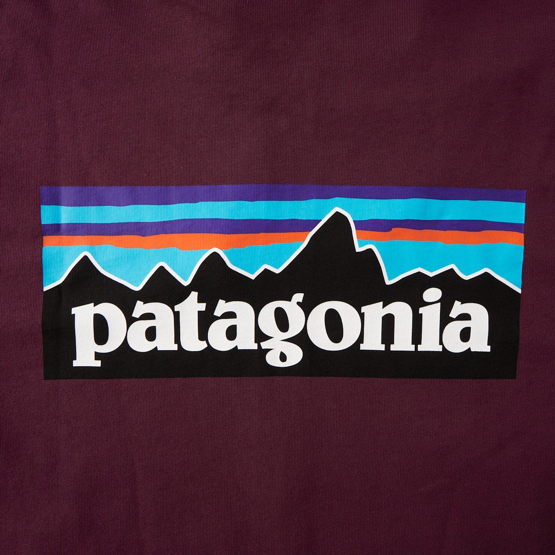 patagonia [パタゴニア] P-6 ロゴ デイリー フルジップ フーディ [39738] BYFG