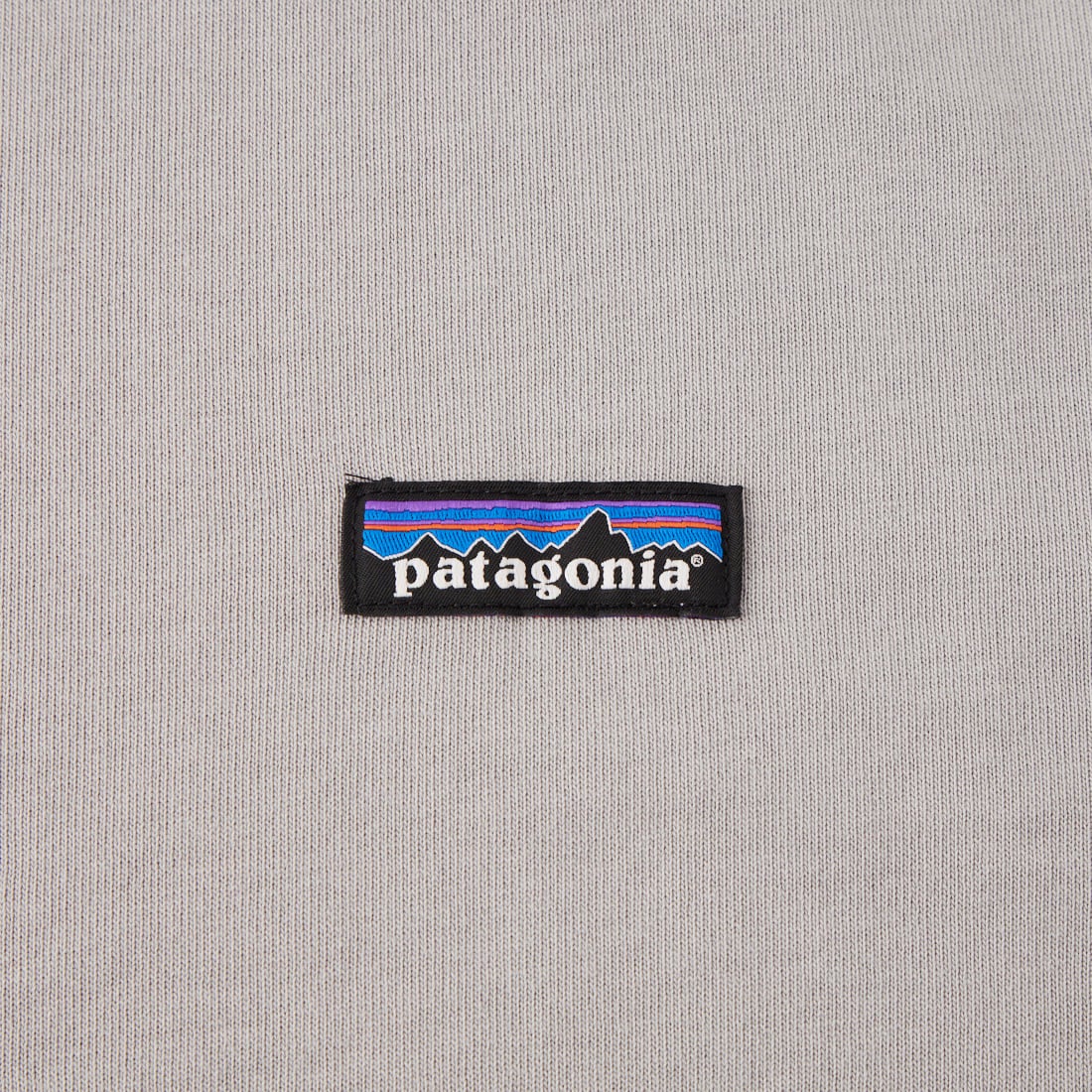 patagonia [パタゴニア] デイリー クルー [22766] SGRY