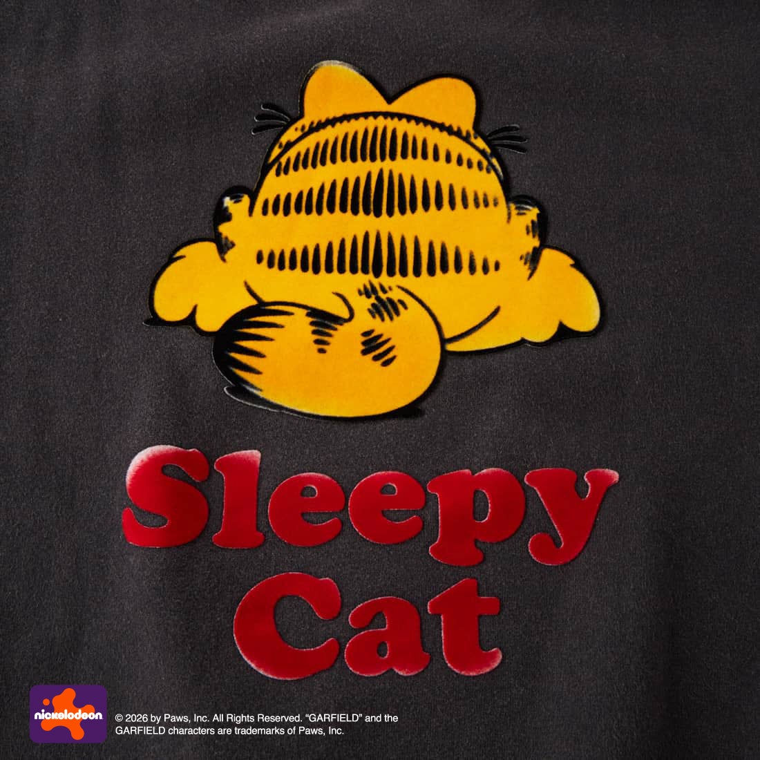 Jeans Factory Clothes [ジーンズファクトリークローズ] キャラダメージスウェット / GARFIELD [JFC-264-075] BLACK