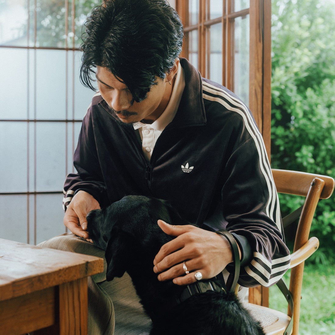 adidas Originals [アディダス オリジナルス] ファイヤーバード ベロア トラックトップ [ZQ134] LC8070