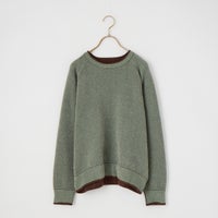 SAGE/BRN